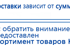 Электрод Скэнар - зонный универсальный ЭПУ-1-1(С) купить в Березовском, Электроды Скэнар купить в Березовском, Медицинская техника - denasosteo.ru